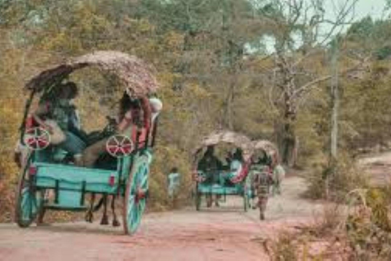 Vanuit Colombo: privétour naar Dambulla, Sigiriya en een dorpVanuit Colombo: Dambulla, Sigiriya en dorpsprivétour