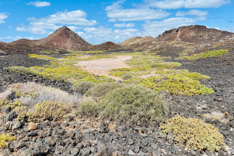 Lobos Island, Popcorn Beach, & Dunes Tour