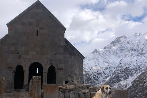 Yerevan: Vayots Dzor Private Tour with Geyser & Fortress