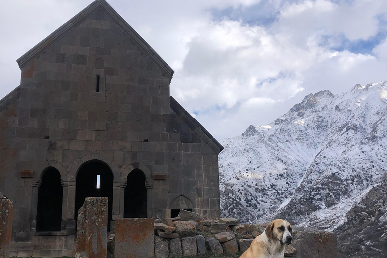 Yerevan: Vayots Dzor Private Tour with Geyser & Fortress