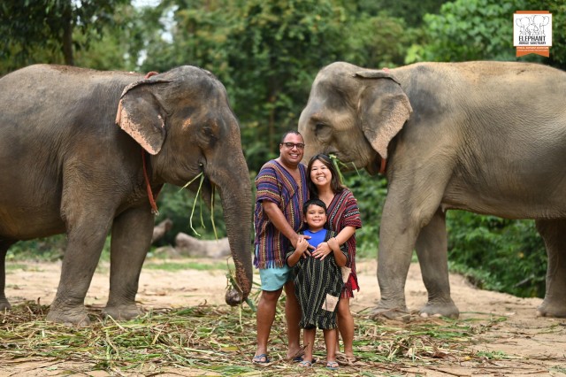 Visit Koh Samui Elephant Sanctuary Entry and Feeding Experience in Chaweng Beach, Koh Samui
