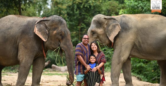 Koh Samui: Elephant Sanctuary Entry and Feeding Experience