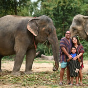 Koh Samui: Elephant Sanctuary Entry and Feeding Experience