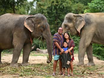 Koh Samui: Elephant Sanctuary Entry and Feeding Experience