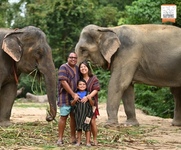 Koh Samui: Elephant Sanctuary Entry and Feeding Experience