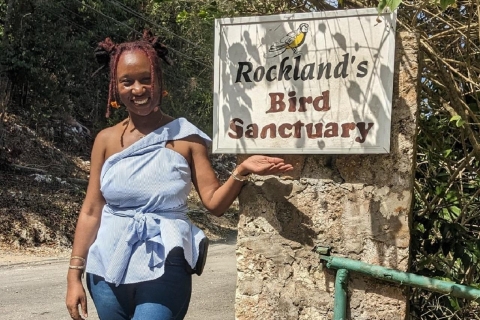 Montego Bay: excursion privée dans le sanctuaire d'oiseaux de Rocklands
