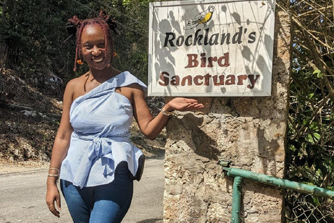 Montego Bay: Gita privata al santuario degli uccelli di RocklandsMontego Bay: viaggio privato al santuario degli uccelli di Rocklands