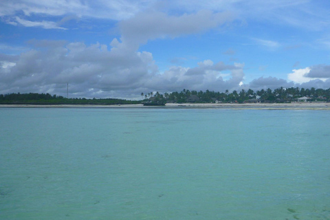 ZANZIBAR: Blue Lagoon Snorkeling and Starfish Day Tour PRIVATE Tour With Transfer Included