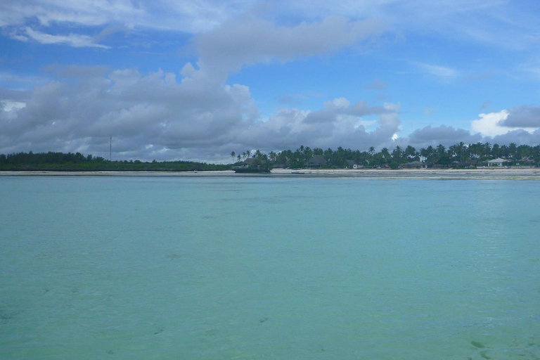 ZANZIBAR: Blue Lagoon Snorkeling and Starfish Day Tour PRIVATE Tour With Transfer Included