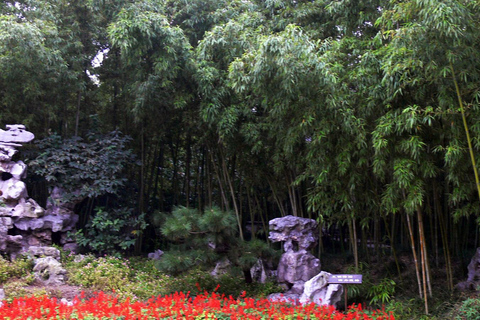 Hangzhou: West Lake Hills Heart-Loop Scenic Private Day Tour