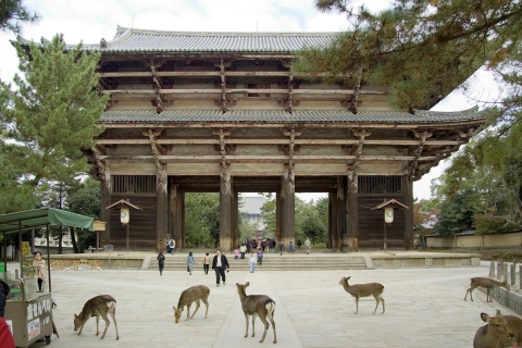 Nara: Audiogids Duik in Todai-ji & Kasuga Taisha