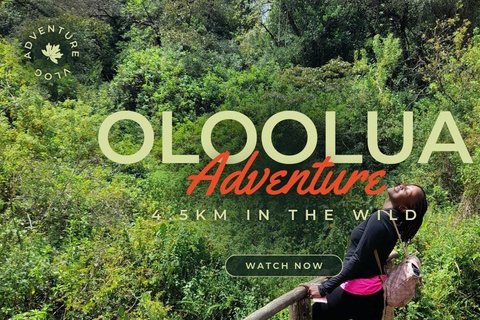 Nairobi: Urban Safari with Lunch and Rooftop Sundowner