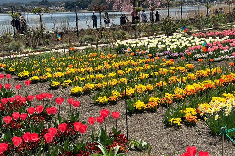 Från Tokyo / Yokohama: Privat dagsutflykt till Fuji-berget och Hakone