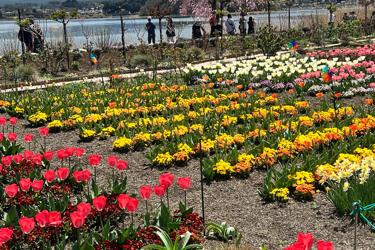 Från Tokyo / Yokohama: Privat dagsutflykt till Fuji-berget och Hakone