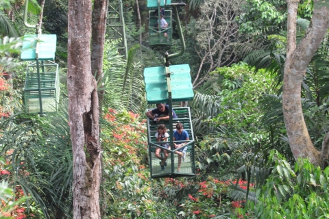 Teleférico y santuario de perezosos en la selva tropical