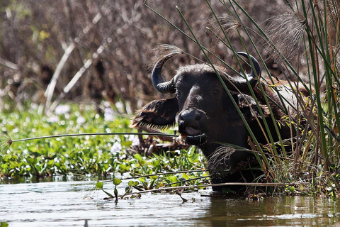 Nationaal park Lake Nakuru vanuit Nairobi