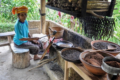 North Bali: Highlight Private Tour with Female Guide Private Tour Without Tickets