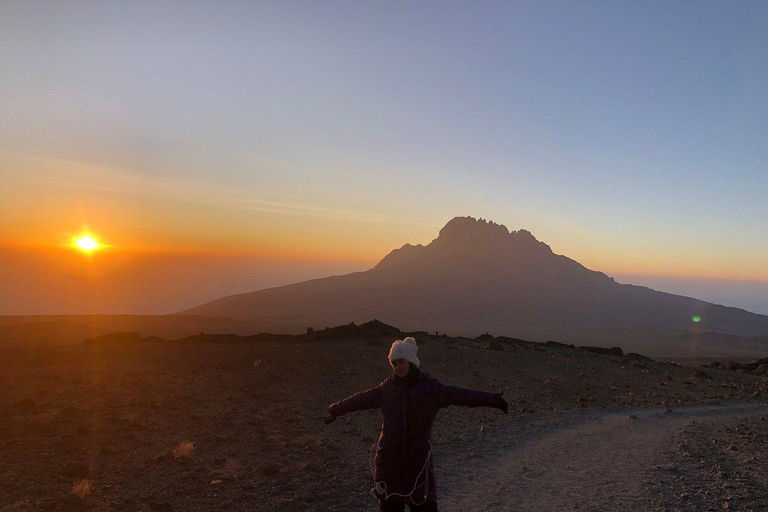 Kilimanjaro: Guided Trek with Certified Guide