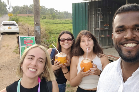 Ella: transfer z Kolombo, Negombo lub transfer lotniskowy wraz z wycieczką po mieścieElla: Colombo, Negombo lub transfer lotniskowy z wycieczką po mieście