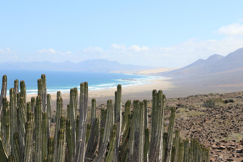 Fuerteventura: Safari Cofete