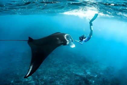 Nusa Penida, Island Highlights Tour with Snorkel Stops - Housity