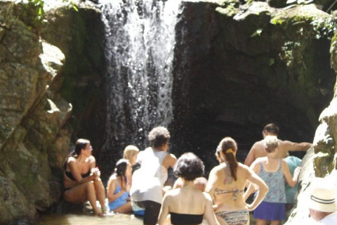 Jardin d&#039;orchidées de Nadi, randonnée dans les cascades avec source d&#039;eau chaude et bain de boueFidji Marriott/Queens Wharf Lautoka/Prise en charge au Tanoa Waterfront