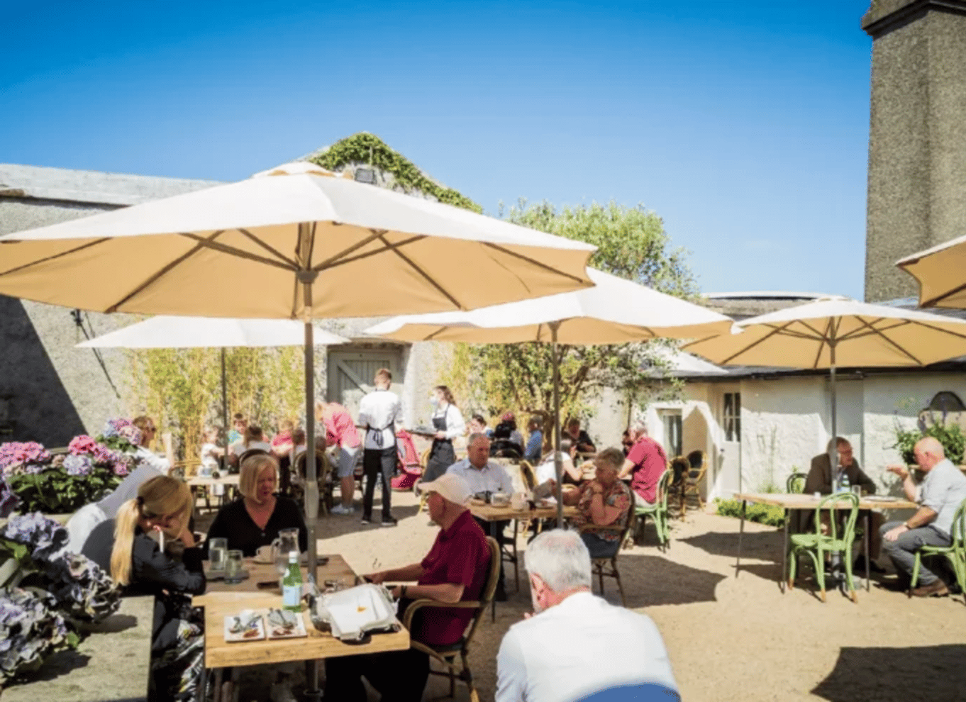 Wicklow: Eftermiddagste på Russborough Café
