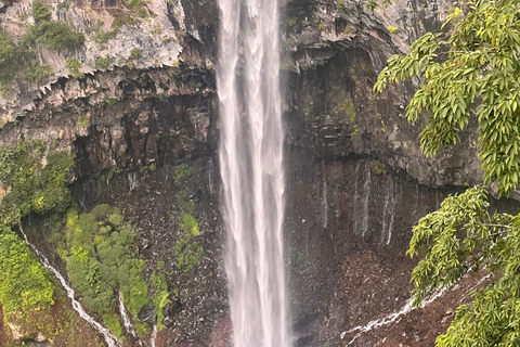 Nikko : visite guidée privée en voiture avec guide anglais