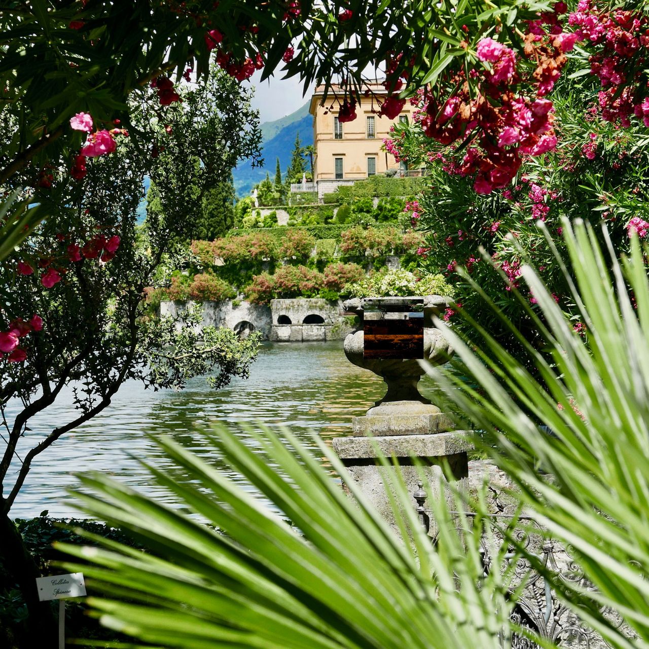 Varenna: Ticket für die Villa Monastero und Weinprobe in Bellagio