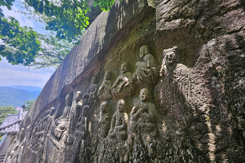 Busan: Private Tour with Stone Buddha, Garden, UN Cemetery