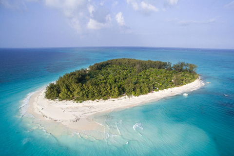 Zanzibar: Tour di Mnemba con snorkeling e delfini con barca Dhow