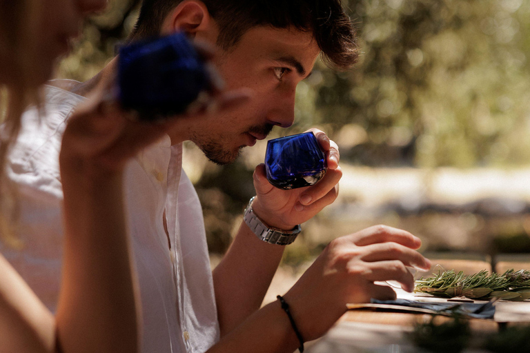 Corfu: Guided Olive Groves Tour with Olive Oil Tasting