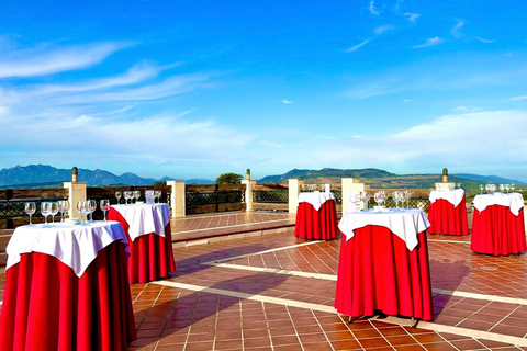 Au départ de Cadix : excursion privée premium d&#039;une journée à Ronda avec dégustation de vinsGROUPE JUSQU&#039;À 6 PERSONNES