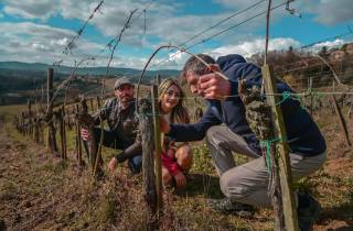 Exklusive Kellertour und Weinverkostung in Siena