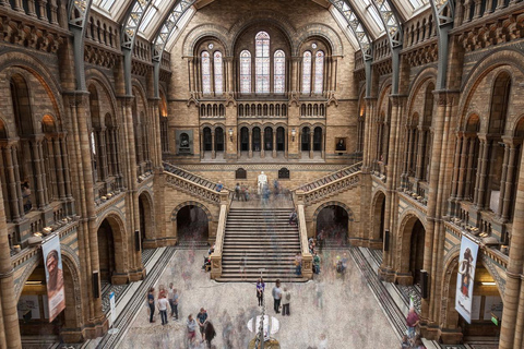 London: Natural History Museum Guided Tour