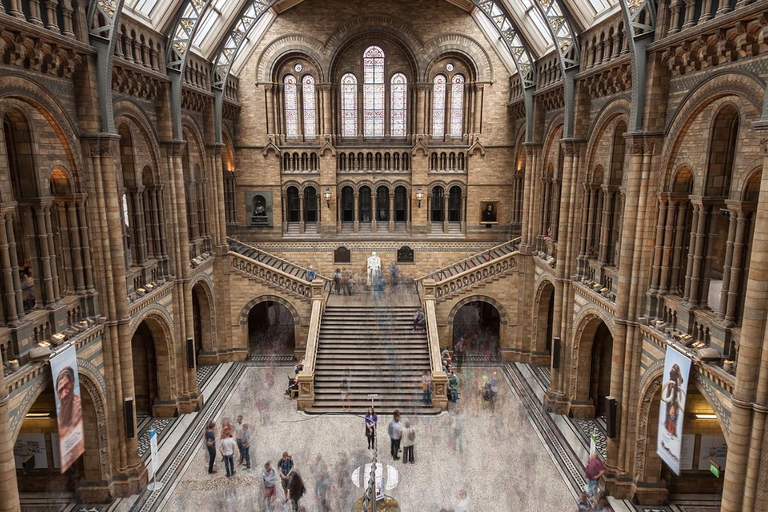 London: Natural History Museum Guided Tour