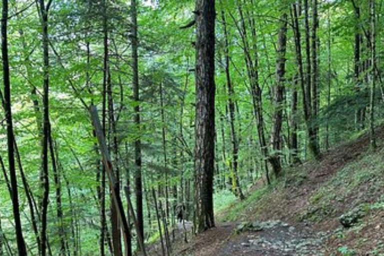 From Thessaloniki: Mount Olympus Private Hike