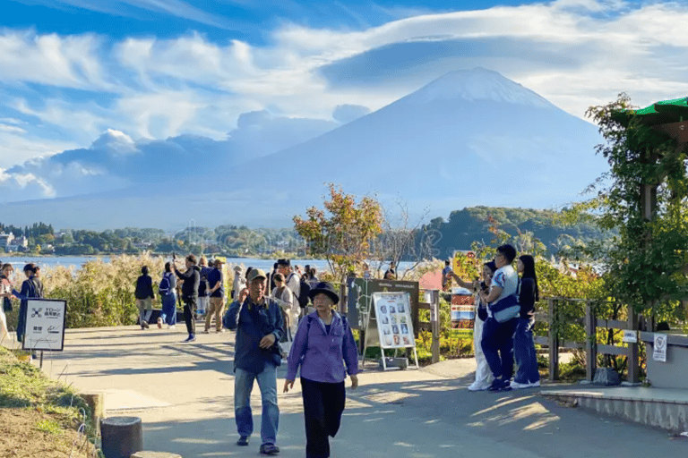 Da Tokyo: Escursione privata al Monte Fuji e ad HakoneTour in autobus condiviso del Monte Fuji