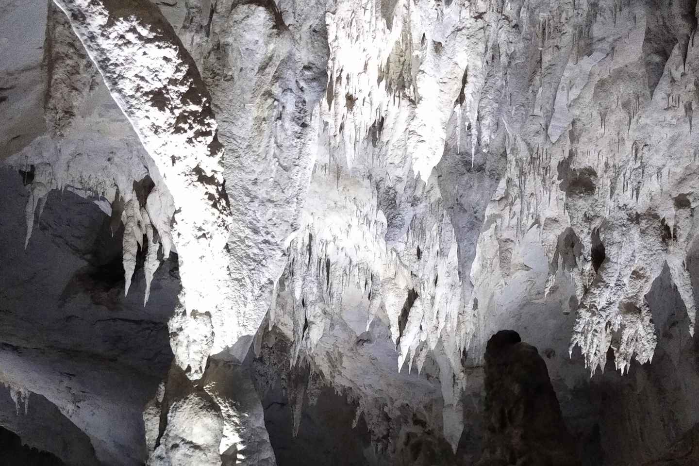 티미쇼아라: 오라데아 시티 투어 및 아푸세니 동굴 탐험 여행