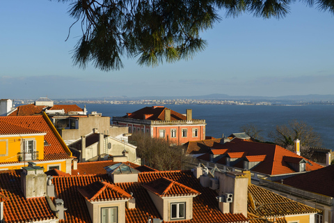Lisbon: Graça Food & Wine Tour in Traditional Taverns Food & Wine Walking Tour