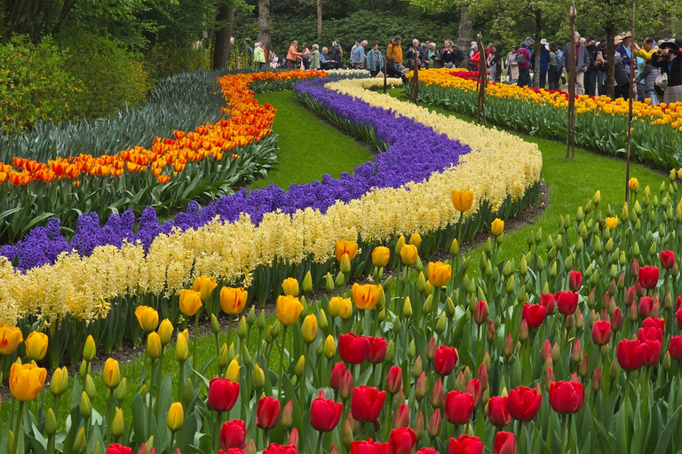 From Amsterdam: Keukenhof Tulips, Windmills & Volendam