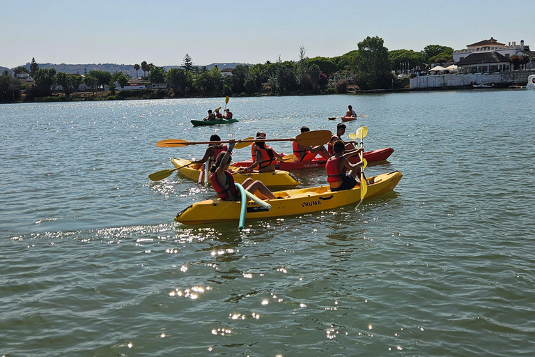 Cádiz: 1.5-Hour Kayak Rental