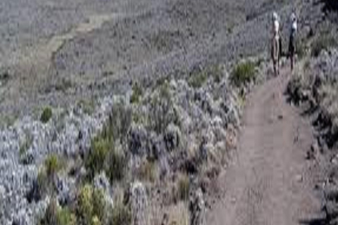 Inoubliable Trek Kilimandjaro - 1 jour Route de Rongai