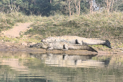 Chitwan National Park: Canoeing and Jungle Walk with Lunch