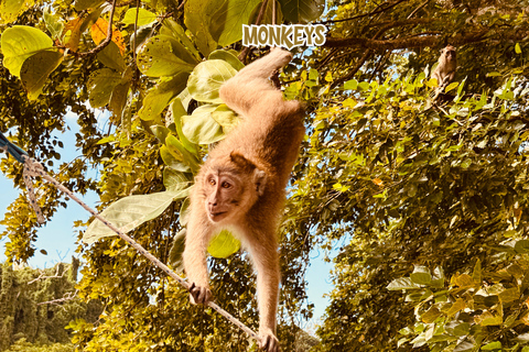 Mauritius: prywatna wycieczka motorówką po 5 wyspach z grillemMauritius: prywatna wycieczka motorówką na 5 wysp z grillem