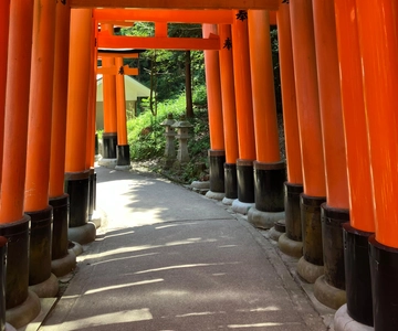 From Kobe: Kyoto Classic Private Tour with Car Pickup