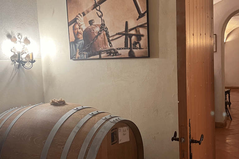 From medieval Evenos to Bandol wines : a taste of Provence Evenos - Bandol - La Ciotat - Cassis : PUBLIC