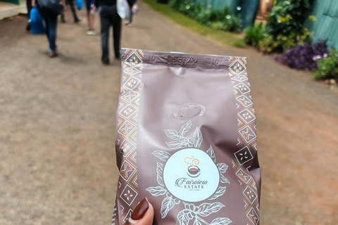 Nairobi: Half day Coffee Farm tour with a local guide