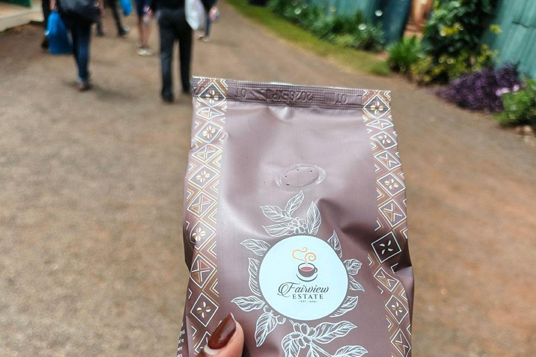 Nairobi: Half day Coffee Farm tour with a local guide