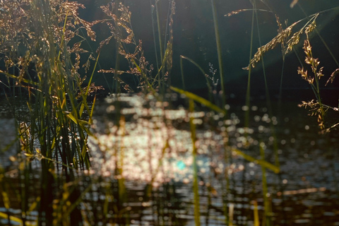 Munich: Healing Power on the Banks of the Isar - Rediscovering the Knowledge of Wild Herbs